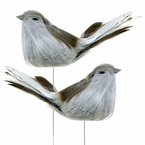 Feather bird on wire gray 12cm 4pcs | Floristik24.co.uk