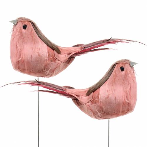 Floristik24 Feather bird on wire pink 12cm 4pcs