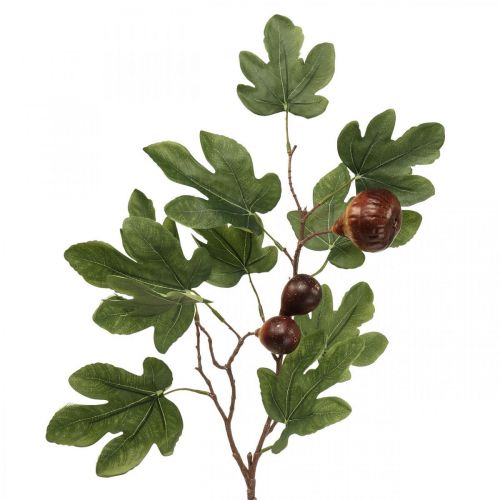 Floristik24.co.uk Fig branch, deco branch, deco fruits figs deco 79cm