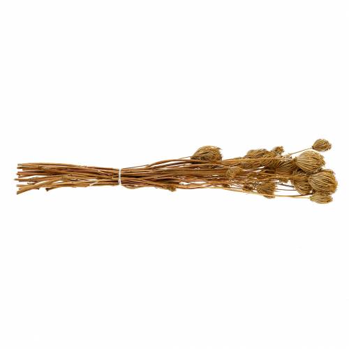 Product Dried flowers fennel nature 100g