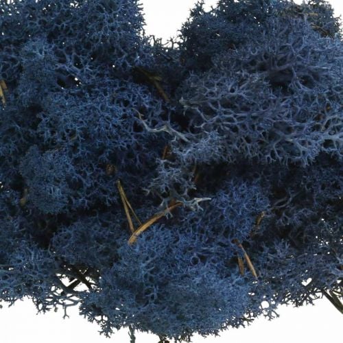 Deco moss blue dry moss for handicrafts colored 500g