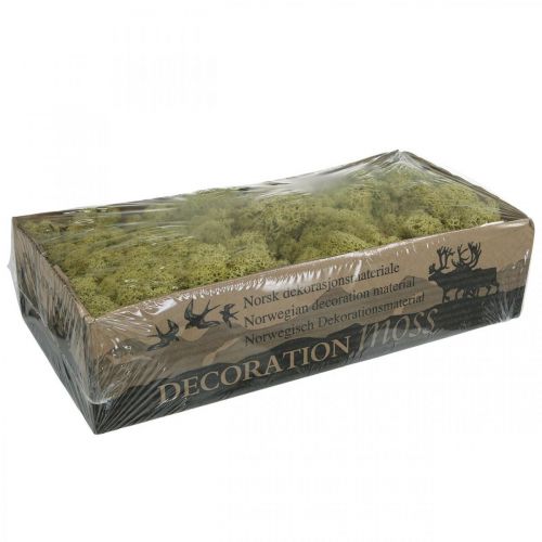 Product Decorative moss green kiwi moss for crafts, dried, dyed 500g