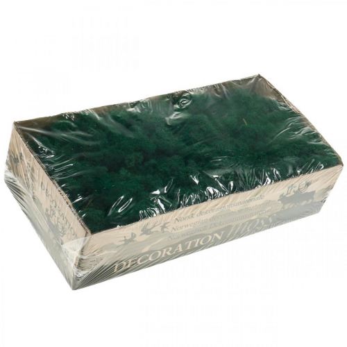 Product Decorative Moss Green Icelandic Moss Preserved Moss for Crafts 400g