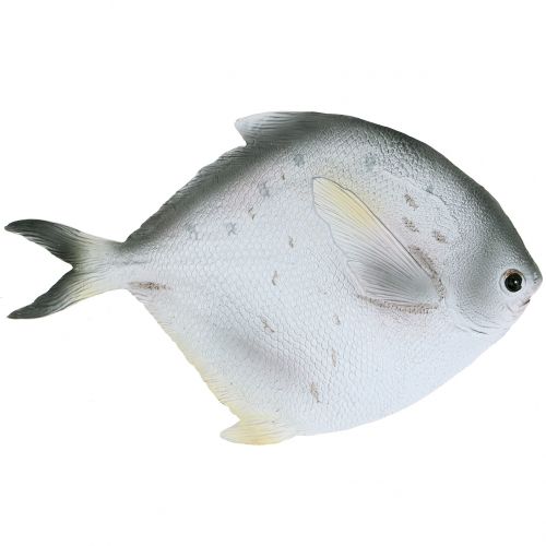 Floristik24 Deco fish L21cm