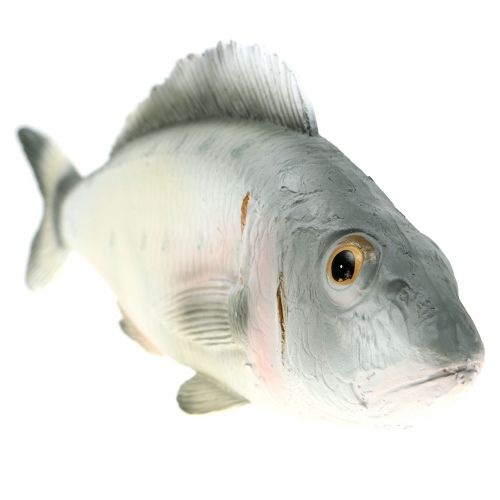 Floristik24 Decorative fish perch L27.5cm