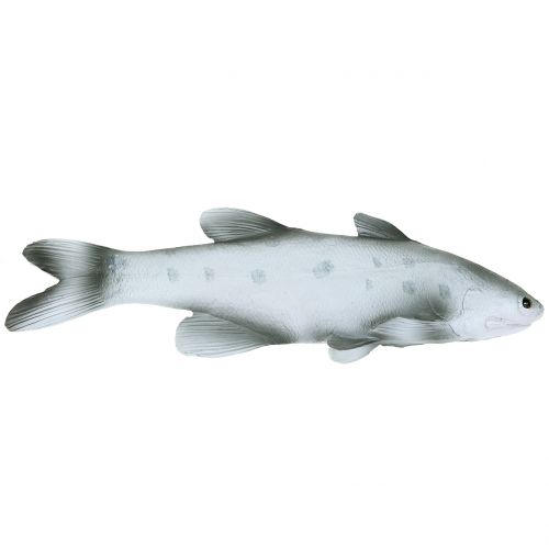 Floristik24 Deco fish L24cm