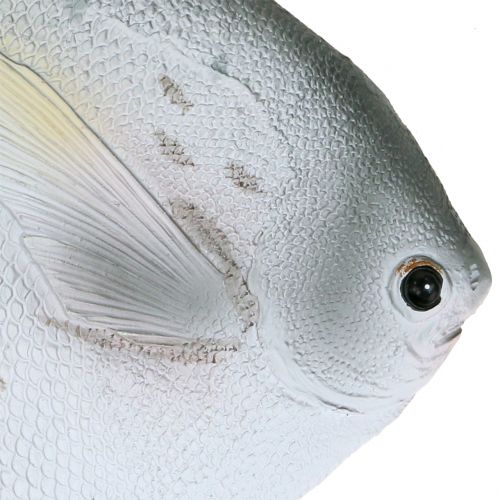 Floristik24 Deco fish L21cm