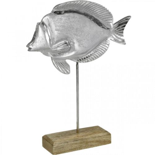 Floristik24 Decorative fish, maritime decoration, fish made of silver metal, natural color H28.5cm