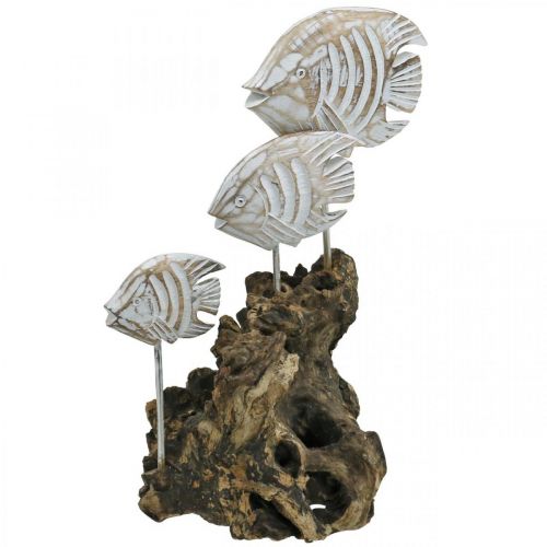 Floristik24 Decorative fish on the root Maritime decoration washed white H33cm
