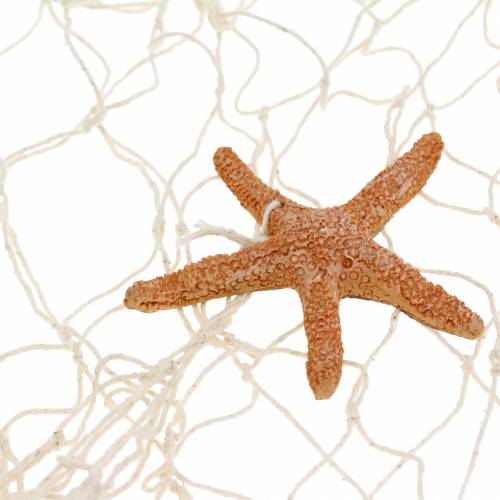 Floristik24 Fishing net with sea decoration natural polyresin 150×200cm as wall decoration