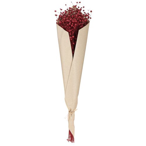 Product Flax Bordeaux Red Dried Decoration Dried Flowers L55cm 80g