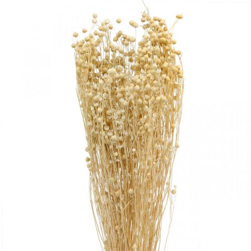 Floristik24 Bleached flax dry floristry dry grasses 52cm 160g