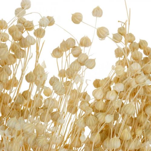 Product Bleached flax dry floristry dry grasses 52cm 160g