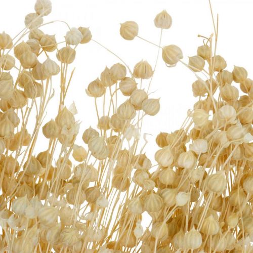 Product Bleached flax dried floristry dried grasses 52cm 160g