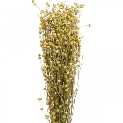 Product Dried flax, dried floristry, natural flax natural color L40–55cm 85g