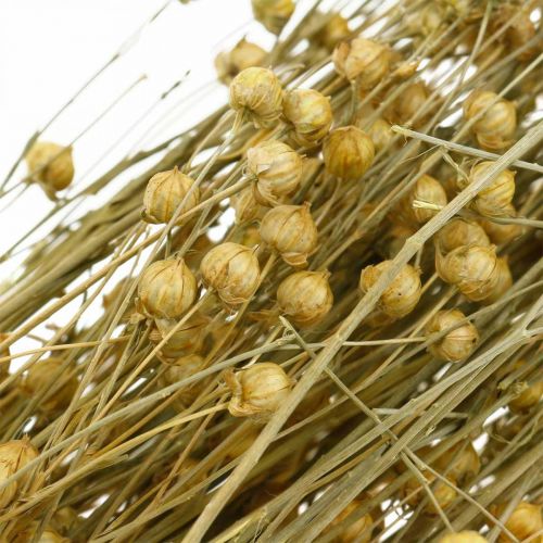 Product Dried flax, dried floristry, natural flax natural color L40–55cm 85g