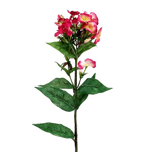 Floristik24 Pink flame flower 72cm