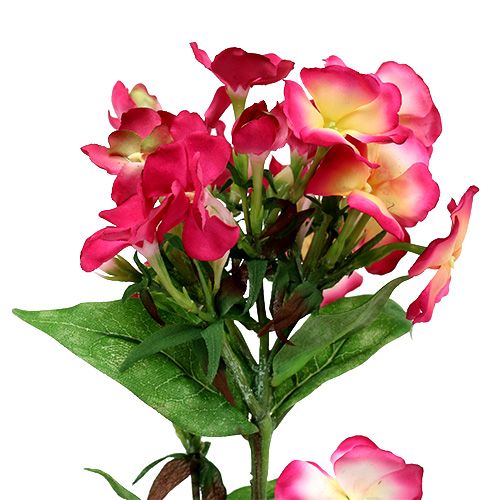 Floristik24 Pink flame flower 72cm