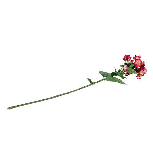Floristik24 Pink flame flower 72cm