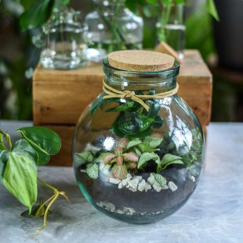 Floristik24 Bottle garden set glass with cork lid and tools Ø21cm H25cm