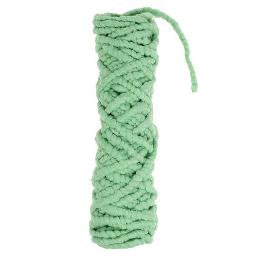 Floristik24 Velcro Mirabell light green 25m