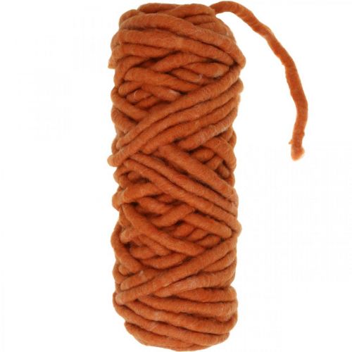 Floristik24 Felt cord, wool cord, felt cord, sheep's wool, jute, orange, L30m