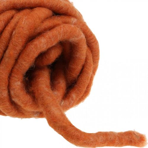 Product Felt cord, wool cord, felt cord, sheep&#39;s wool, jute, orange, L30m