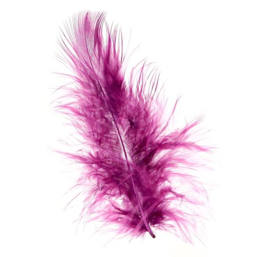 Floristik24 Fluffy decorative feathers Burgundy for crafting 5–10cm 20g