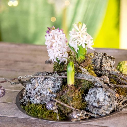 Product Lichen natural decoration with moss gray 500g