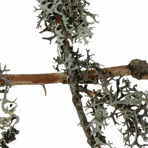 Product Lichen moss grey moss with branches 750g
