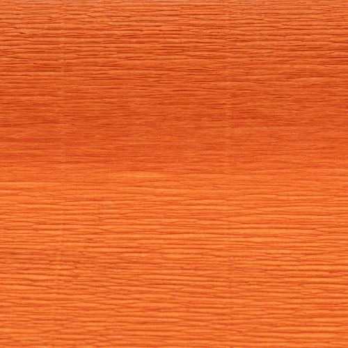 Orange Crepe Paper Roll for Floristry and Decoration, 50x250cm | Floristik24.co.uk