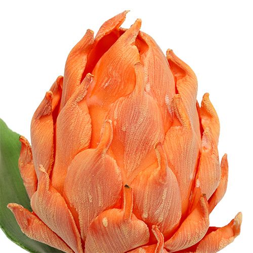 Floristik24 Foam Artichoke Orange 14cm L28cm 1pc