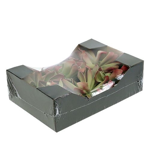 Floristik24 Foam Blossom Ø12cm Green / Red 6pcs
