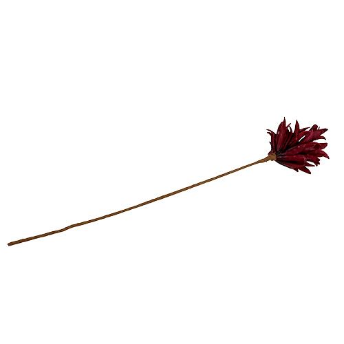Floristik24 Foam flower Bordeaux 14cm L66cm