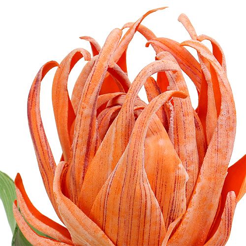 Floristik24 Foam flower Orange 12cm L30cm 1pc
