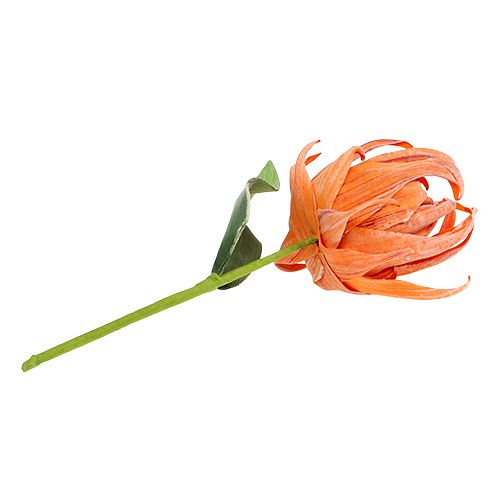 Floristik24 Foam flower Orange 12cm L30cm 1pc