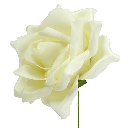 Floristik24 Foam roses cream Ø15cm 4pcs