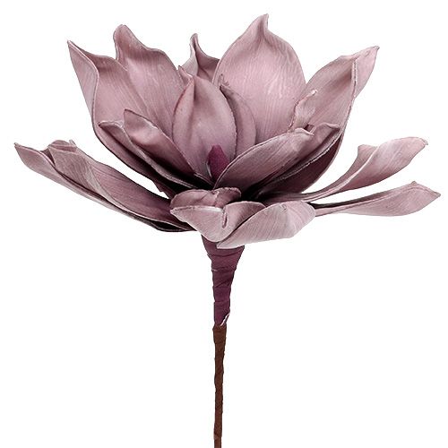 Floristik24 Foam flower Magnolia Berry Ø15cm L67cm