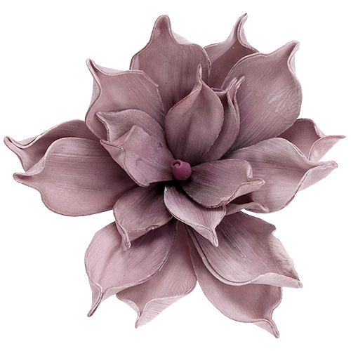 Floristik24 Foam flower Magnolia Berry Ø15cm L67cm