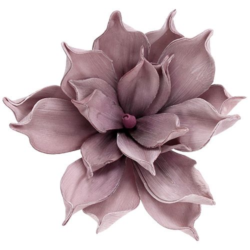 Product Foam flower Magnolia Berry Ø15cm L67cm