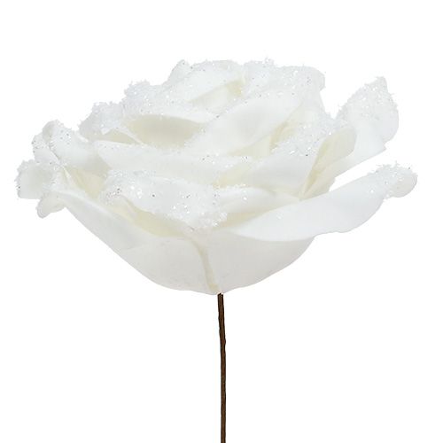 Floristik24 Foamrose white Ø10cm snowed 6pcs