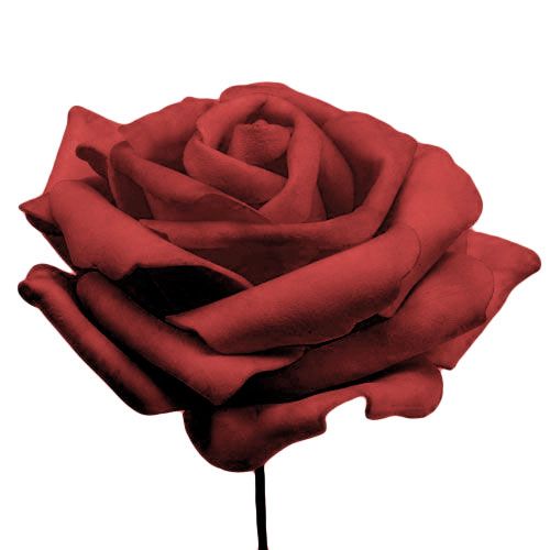 Product Foamrose Red Ø10cm 8 pcs