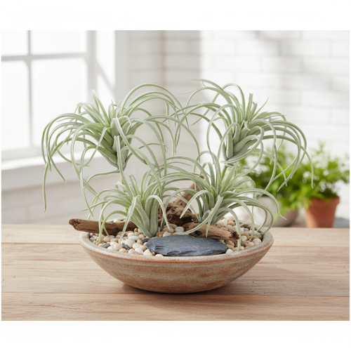 Product Tillandsia succulent artificial green plants 13cm