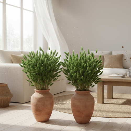 Product Dried Lagurus (Hare's Tail Grass) 65-70cm 100g