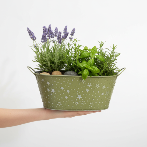 Product Oval metal bowl with stars and handles, green, 31×16cm, H12.5cm