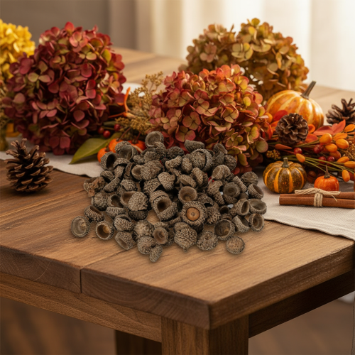 Natural Acorn Caps for Crafting and Decoration, 2cm, 300g | Floristik24.co.uk