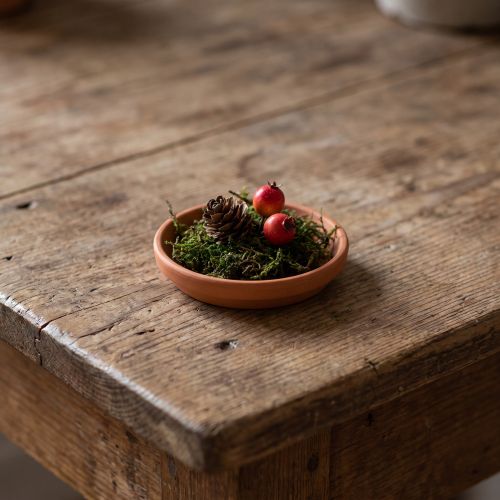 Coaster, clay bowl, ceramic made of terracotta Ø6.2cm | Floristik24.co.uk