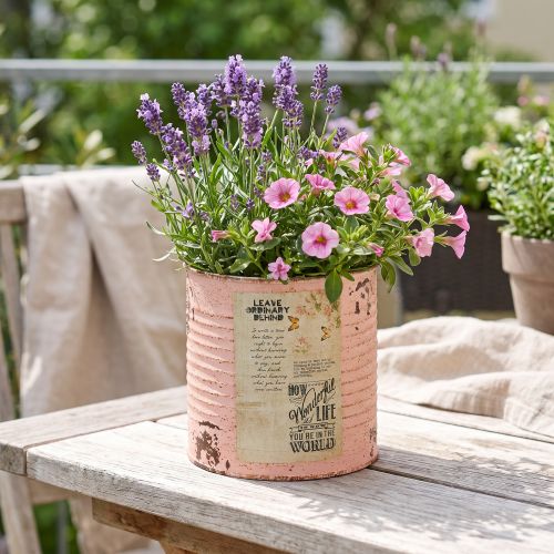 Flower pot decorative can salmon metal summer decoration Ø11cm H10.5cm | Floristik24.co.uk