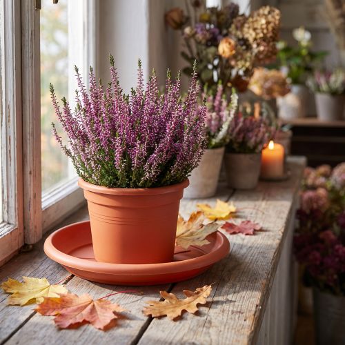 Coaster "Linda" Ø24cm terracotta | Floristik24.co.uk