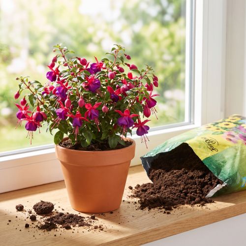 FlorBest Gardener's Potting Soil with Natural Clay and Slow-Release Fertilizer 5l | Floristik24.co.uk